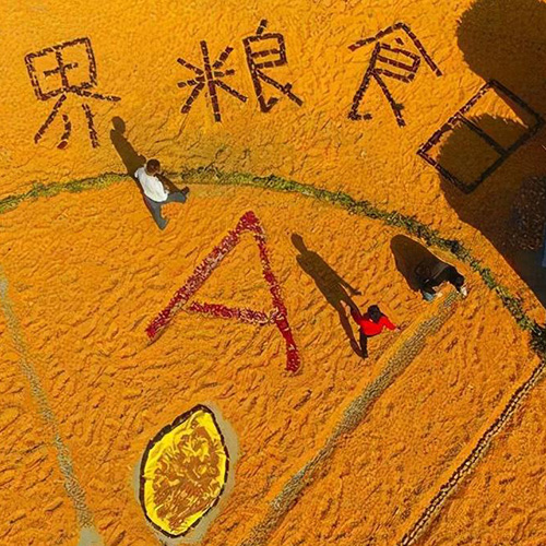 【南宫注册入口app
机械】